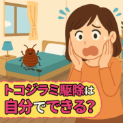 トコジラミ駆除　じぶんでできる？
